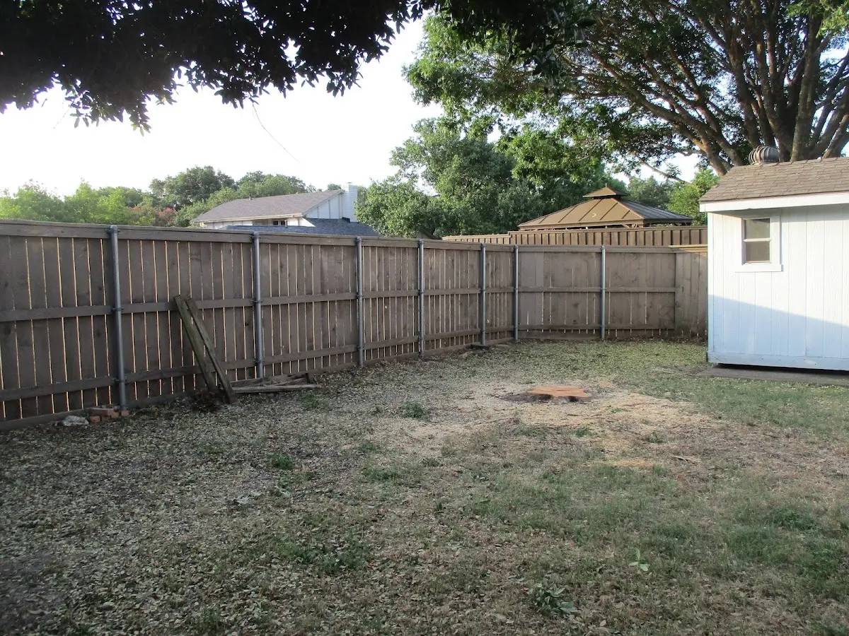 Cleared yard after professional tree removal in West Baden Springs